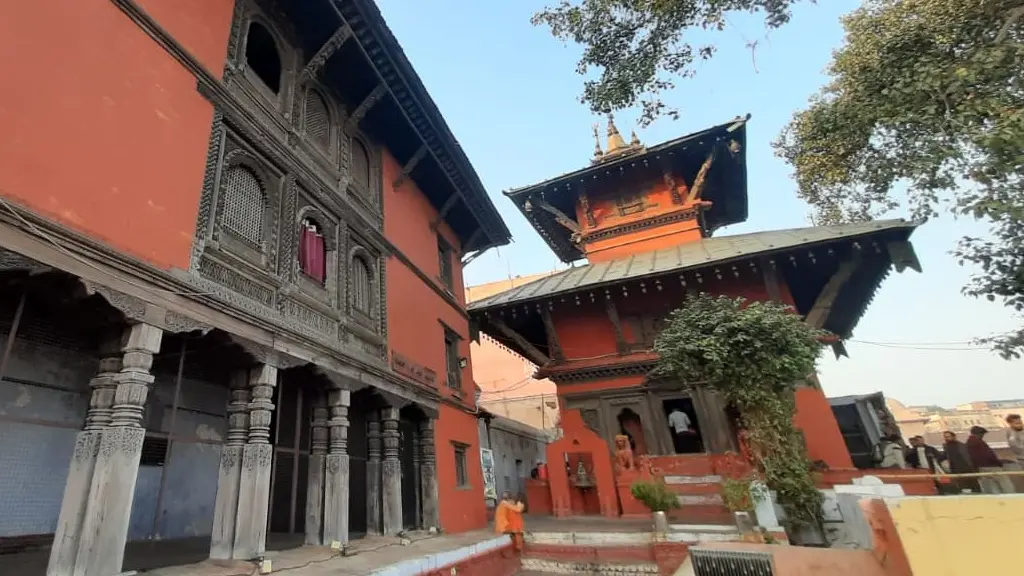 Varanasi Street Dogs
